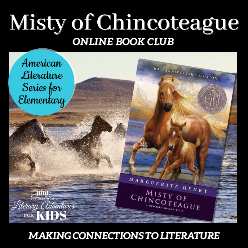 Misty of Chincoteague square Misty of Chincoteague