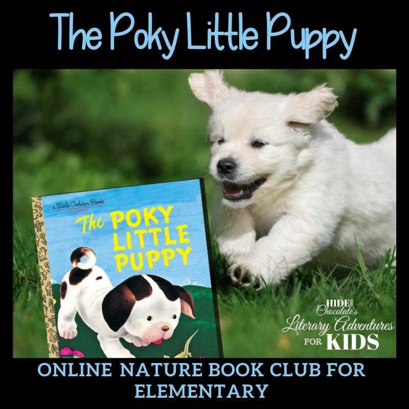 Poky Little Puppy Square The Poky Little Puppy
