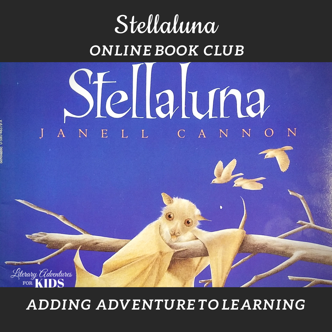 Stellaluna Online Book Club Square Stellaluna Online Book Club