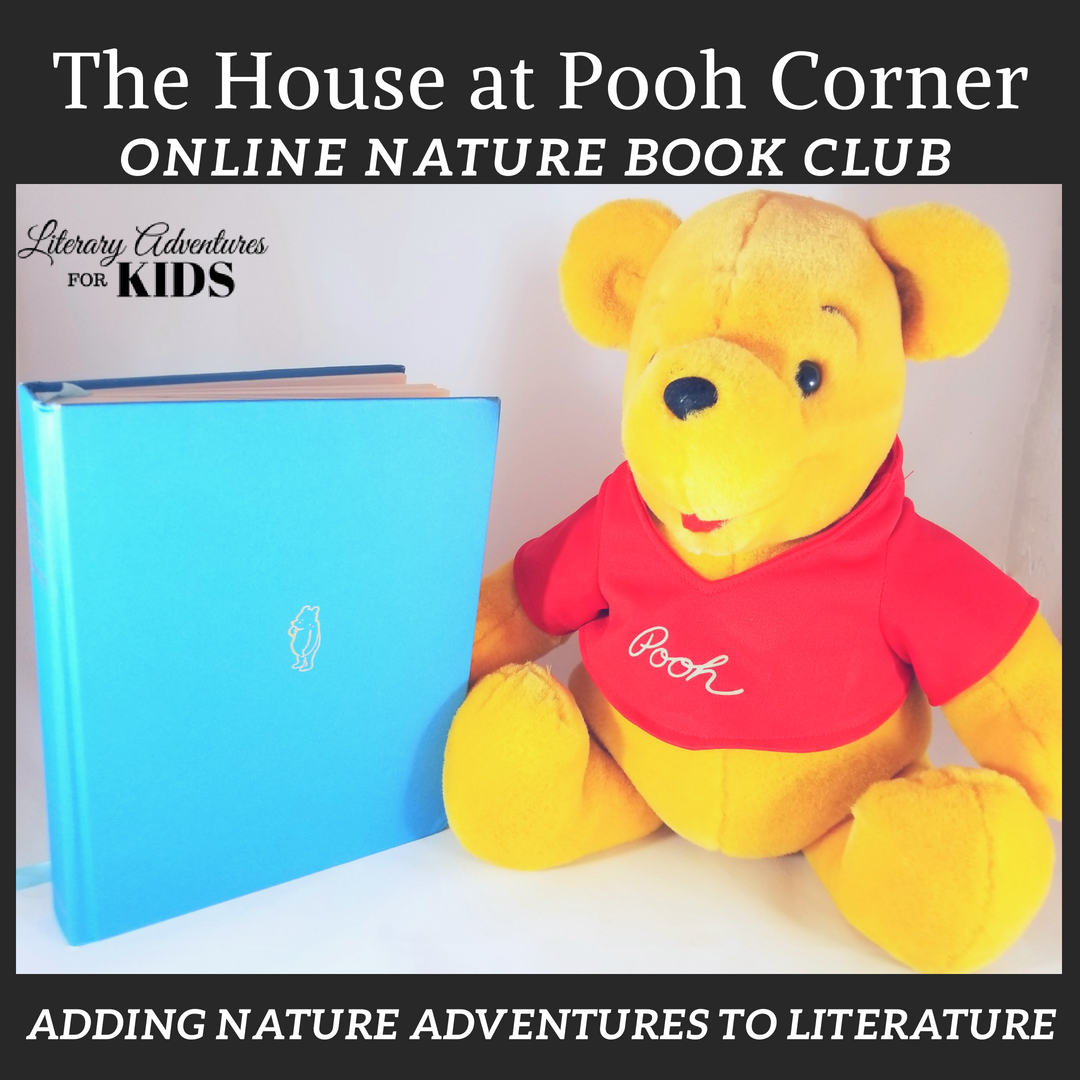The House at Pooh Corner Online Book Club Woo The House at Pooh Corner Online Book Club