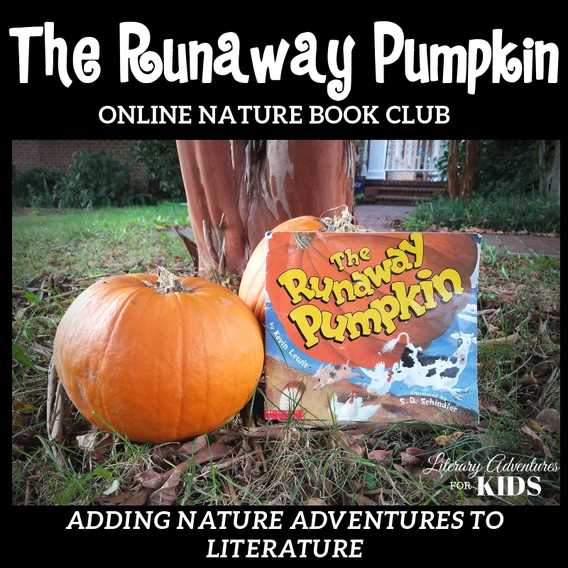The Runaway Pumpkin Online Nature Book Club Woo The Runaway Pumpkin Online Nature Book Club