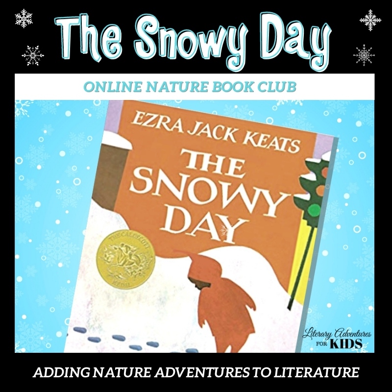 The Snowy Day Online Nature Book Club Square The Snowy Day Online Nature Book Club