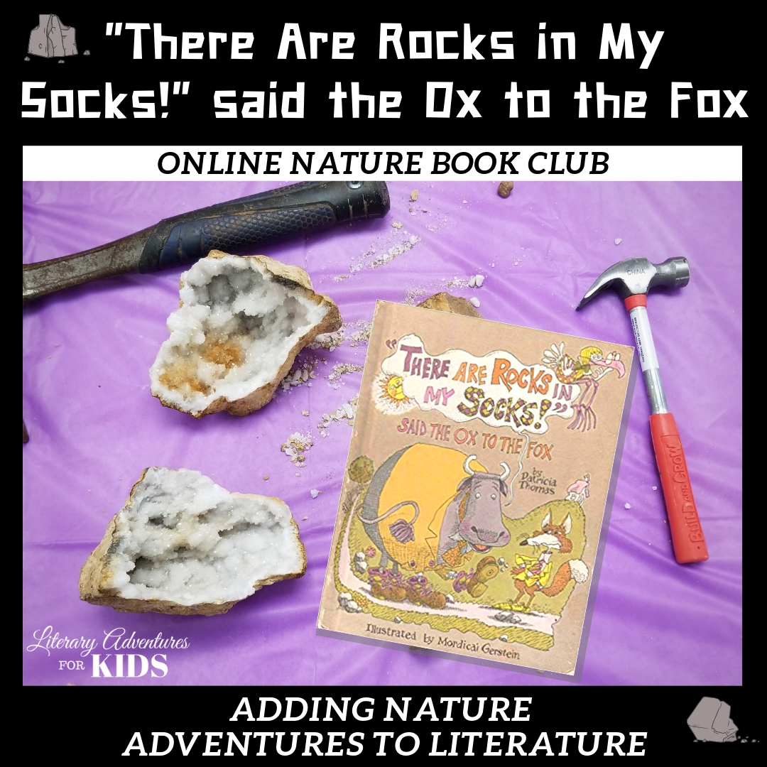 There Are Rocks in My Socks Online Nature Book Club Woo There Are Rocks in My Socks Online Nature Book Club