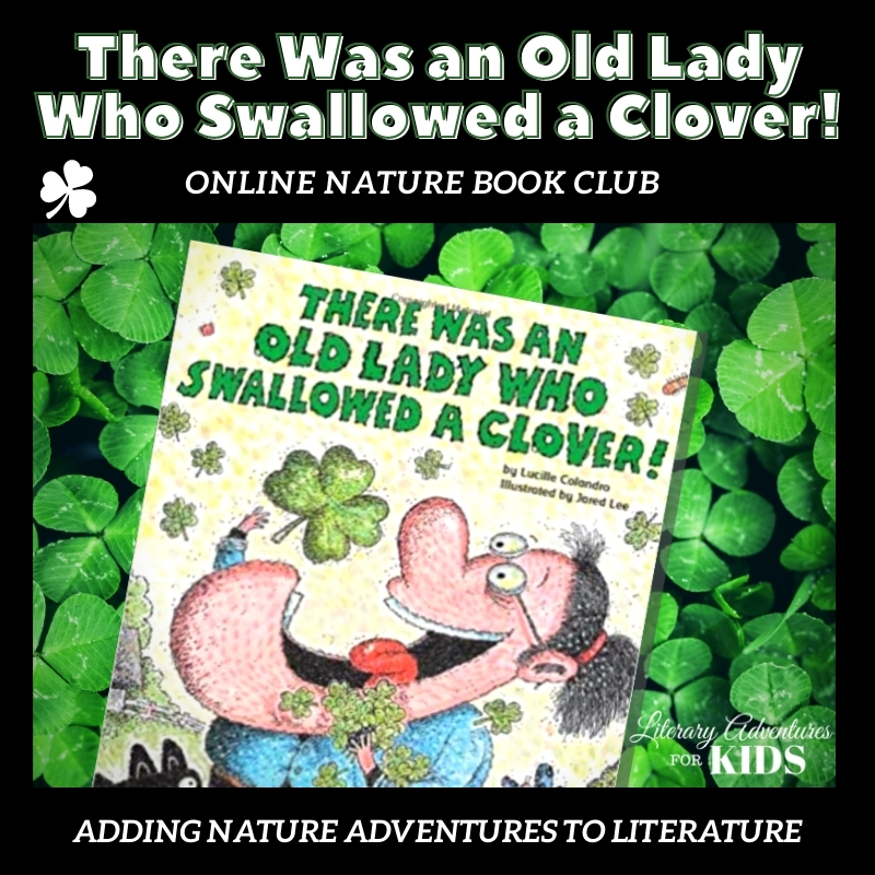 There Was an Old Lady Who Swallowed a Clover Online Nature Book Club Square There Was an Old Lady Who Swallowed a Clover Online Nature Book Club