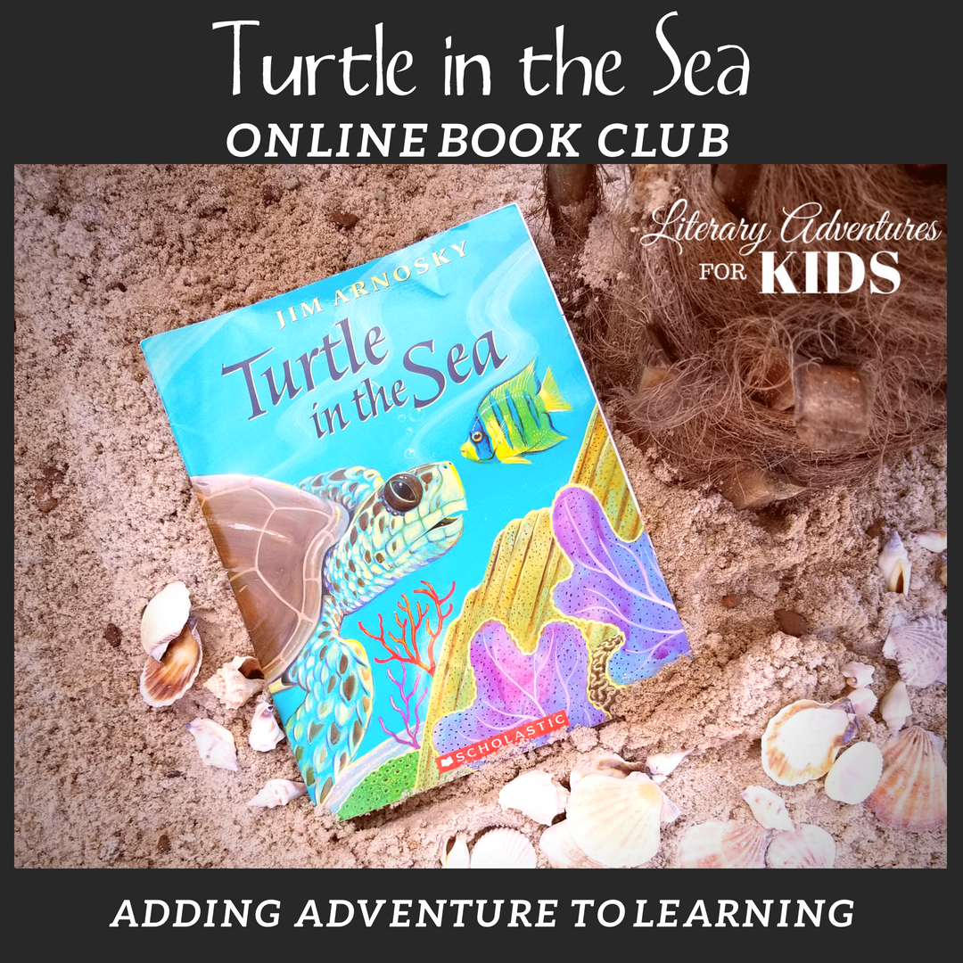 Turtle in the Sea Online Book Club Square Turtle in the Sea Online Book Club